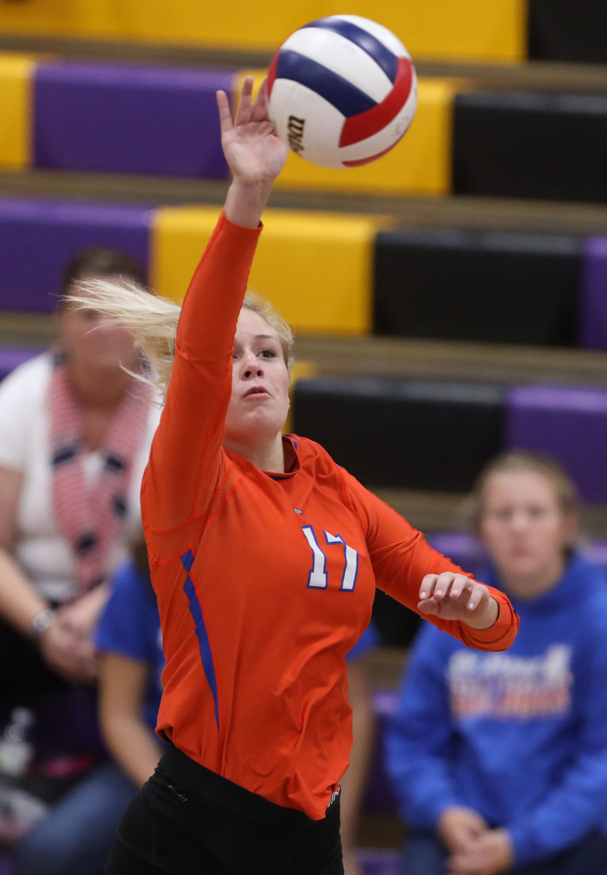 Mt Pulaski vs St Teresa volleyball 12 9.11.18.jpg